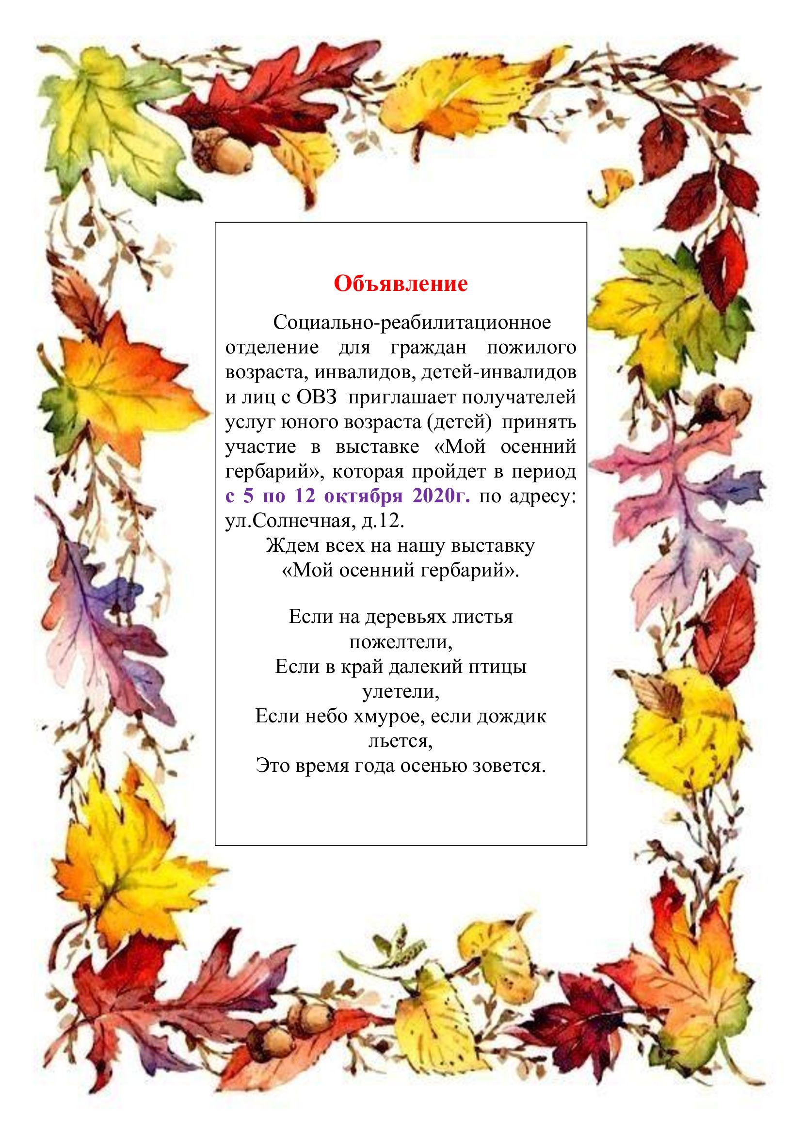 Осенний Гербарий Фото